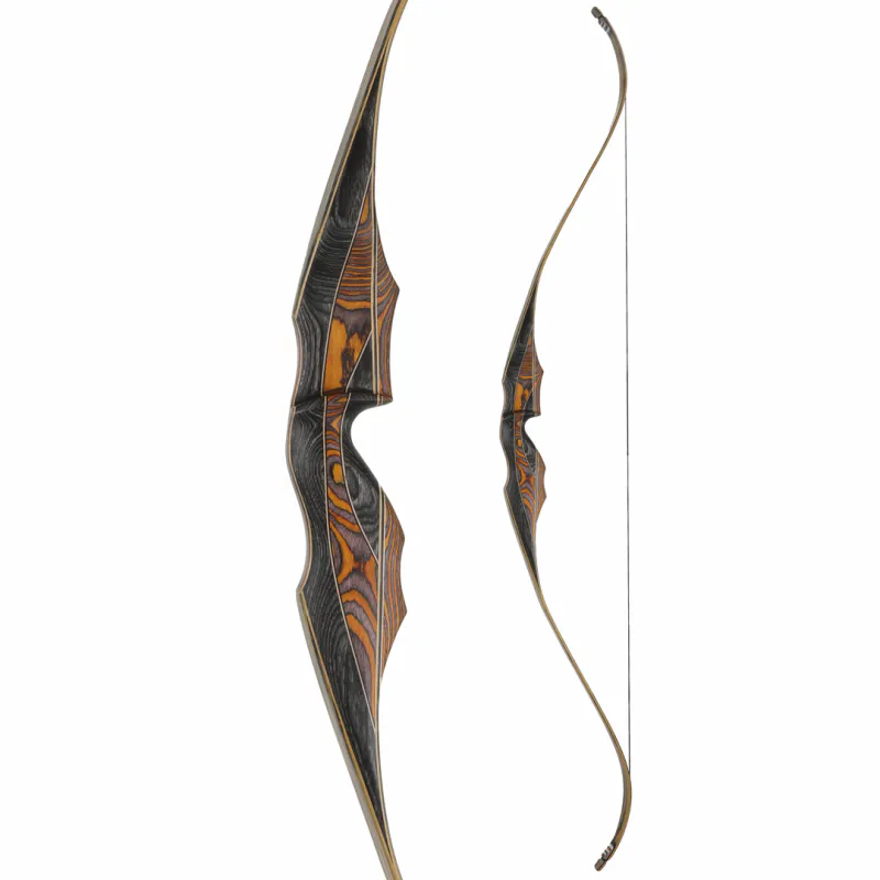 Accipiter fieldbow